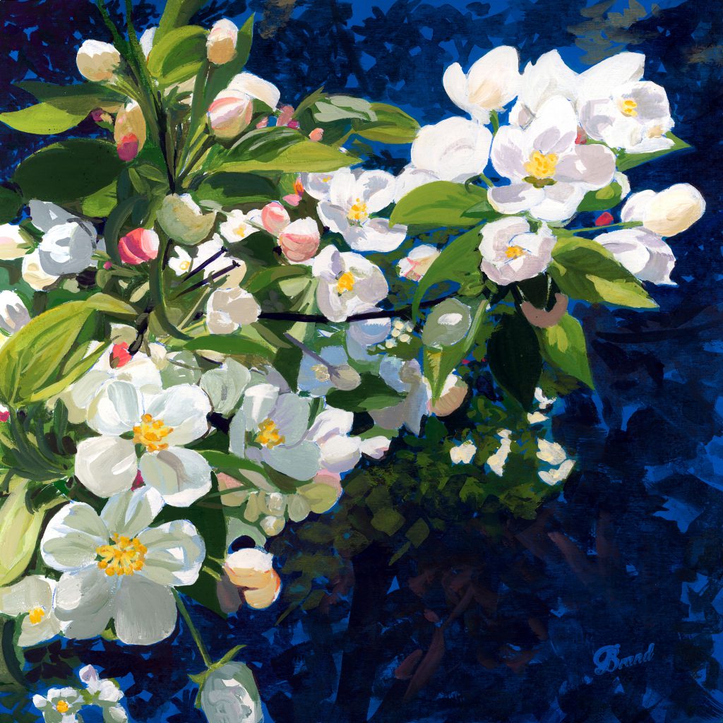 Crabapple II, Acrylic, 10 x 10 inches, 2013, Private Collection