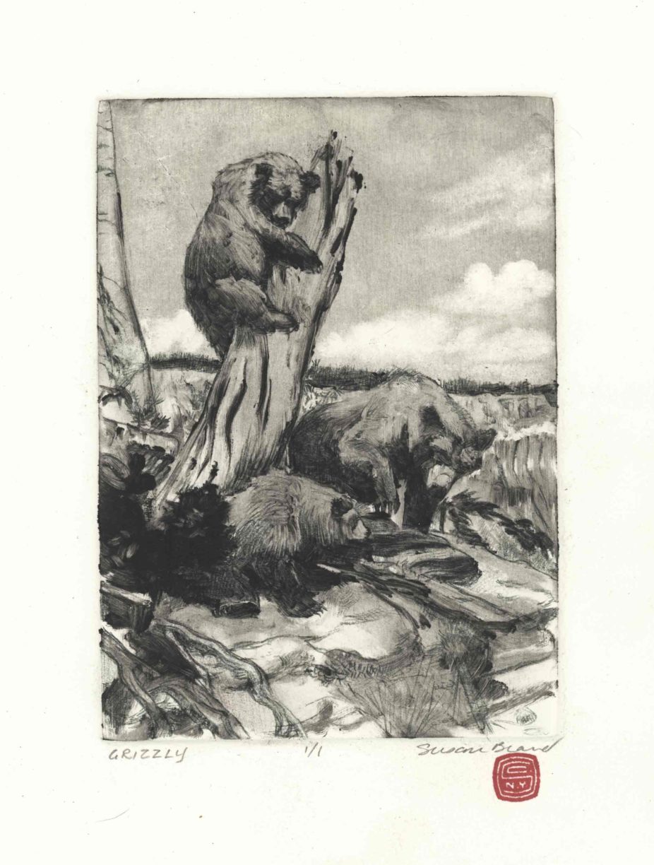 Grizzly, 5x7 inches, monotype, Private Collection